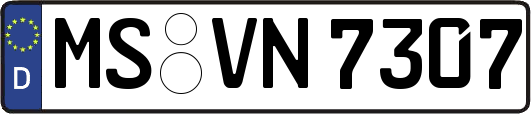 MS-VN7307