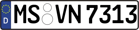 MS-VN7313