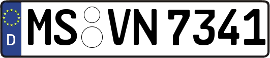 MS-VN7341