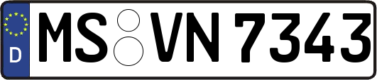 MS-VN7343