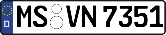 MS-VN7351