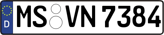 MS-VN7384