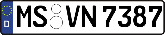 MS-VN7387