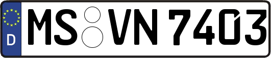MS-VN7403