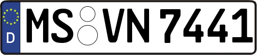 MS-VN7441