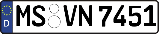MS-VN7451