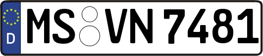 MS-VN7481