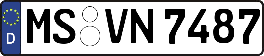 MS-VN7487