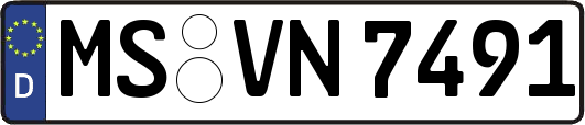MS-VN7491