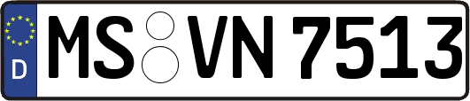 MS-VN7513