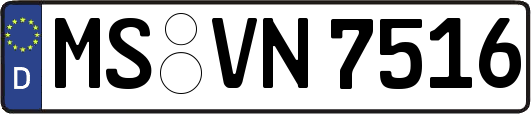 MS-VN7516