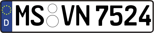 MS-VN7524