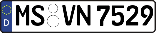 MS-VN7529