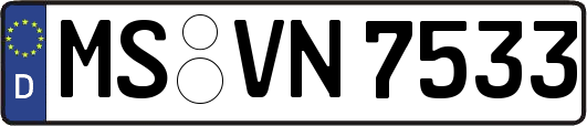 MS-VN7533