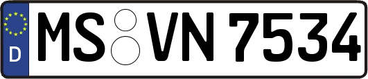 MS-VN7534