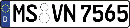 MS-VN7565