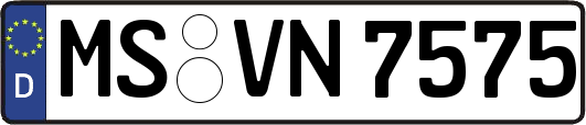 MS-VN7575