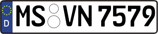MS-VN7579