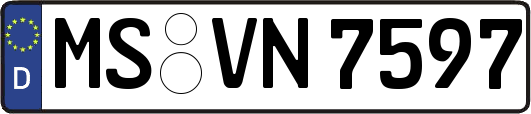 MS-VN7597