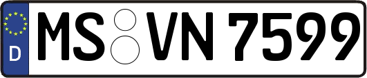 MS-VN7599