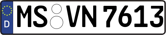 MS-VN7613