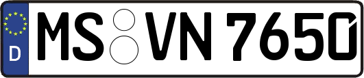 MS-VN7650