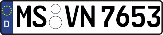 MS-VN7653