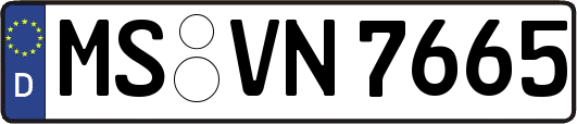 MS-VN7665
