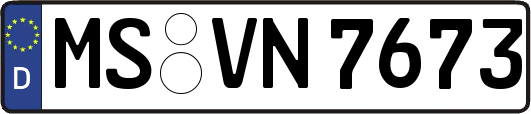 MS-VN7673