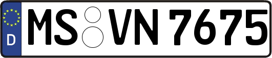 MS-VN7675
