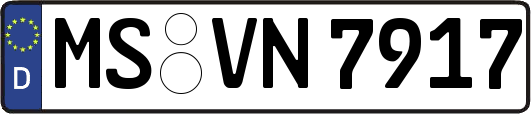 MS-VN7917