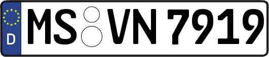 MS-VN7919