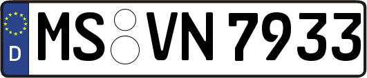 MS-VN7933