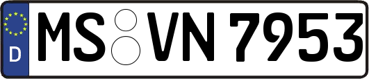 MS-VN7953
