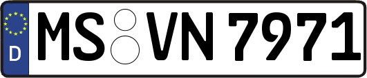 MS-VN7971