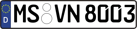 MS-VN8003