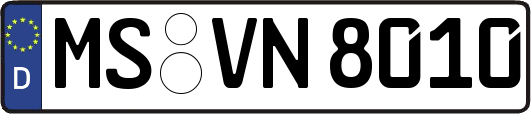 MS-VN8010