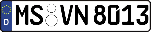MS-VN8013