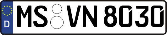 MS-VN8030