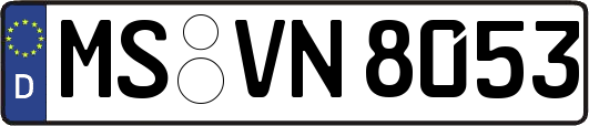 MS-VN8053