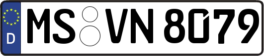 MS-VN8079