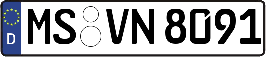 MS-VN8091