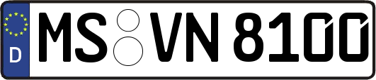 MS-VN8100
