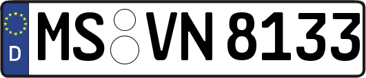 MS-VN8133