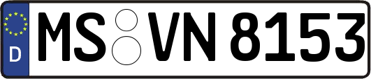 MS-VN8153