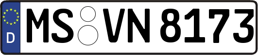 MS-VN8173