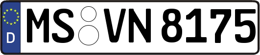 MS-VN8175
