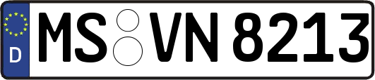 MS-VN8213