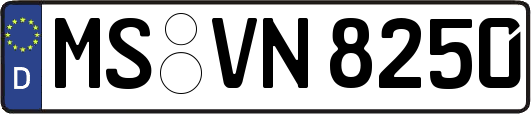 MS-VN8250