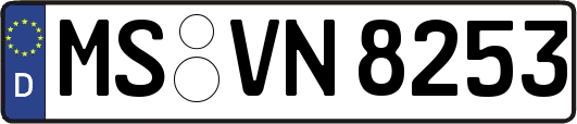MS-VN8253